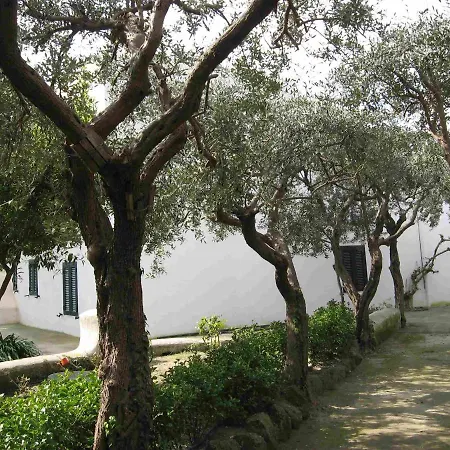 Apartmán Ischia Charming Terrace Seaview