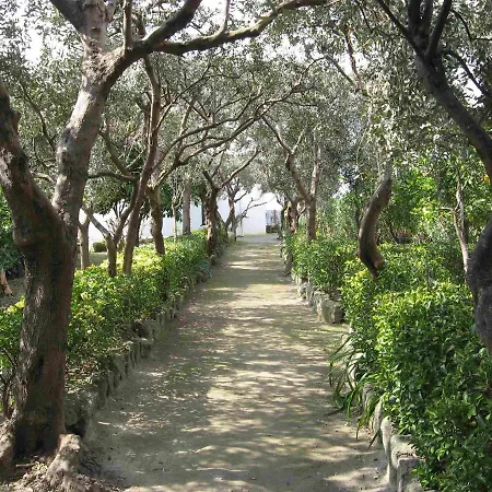 Ischia Charming Terrace Seaview *